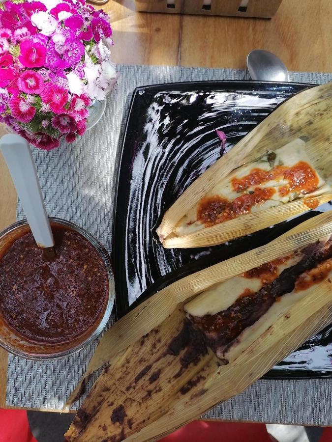 Nardazul "Casa De Suenos" Hotell Oaxaca Eksteriør bilde